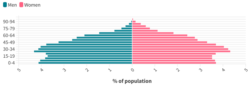 Population pyramid of Vietnam in 2019 (source: GSO Vietnam)